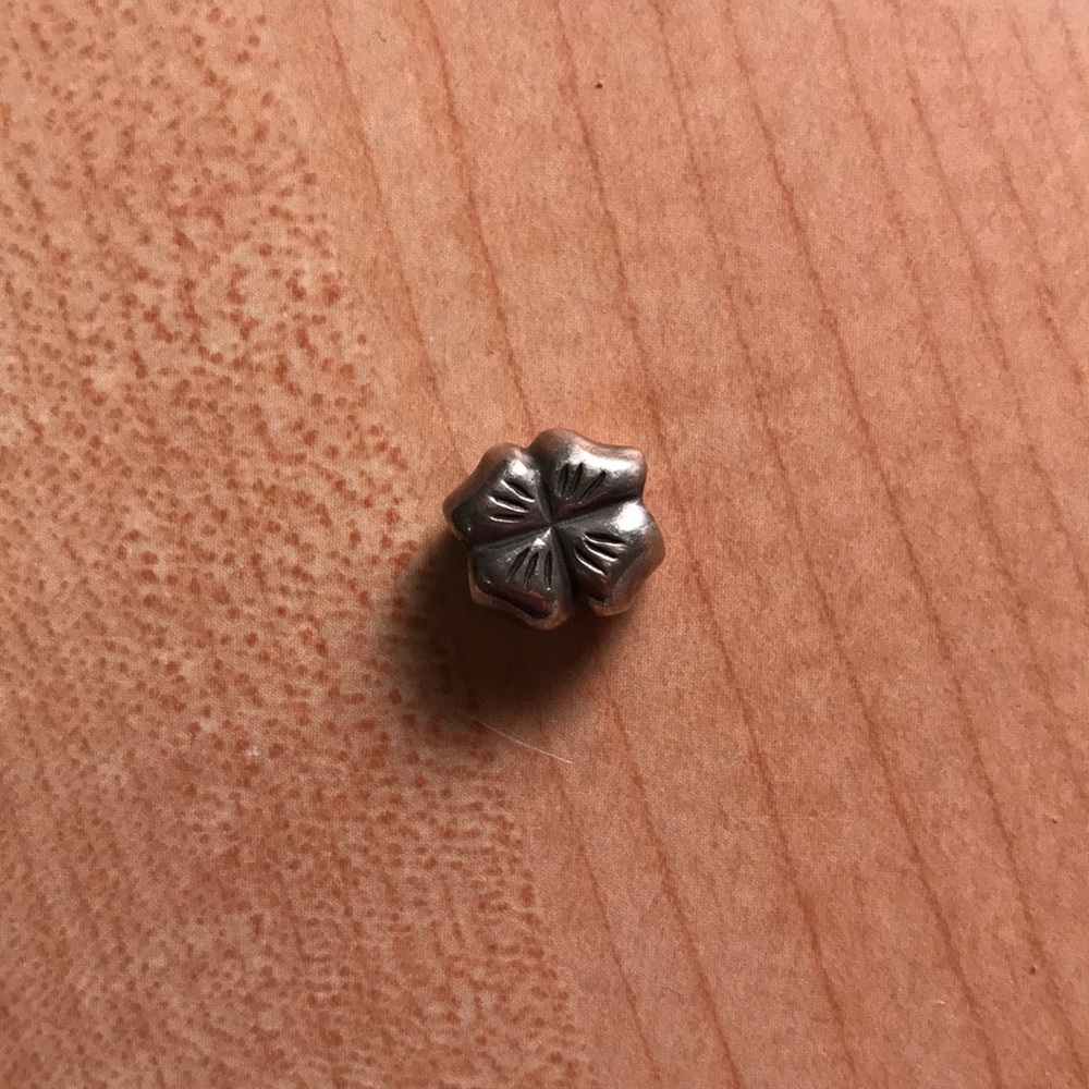 Pandora charm